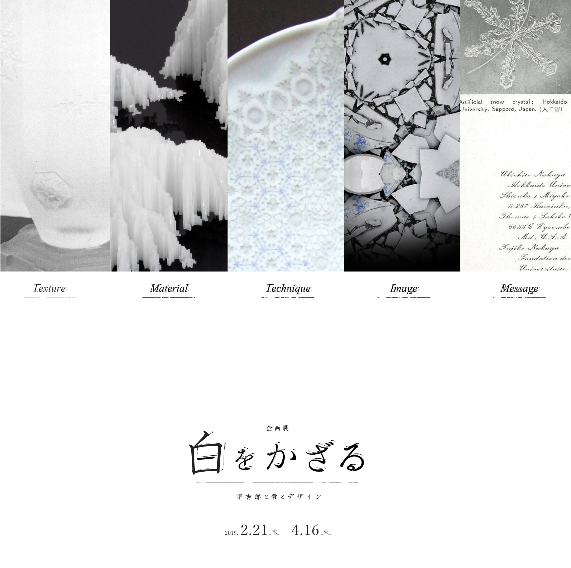 企画展 ⽩をかざる