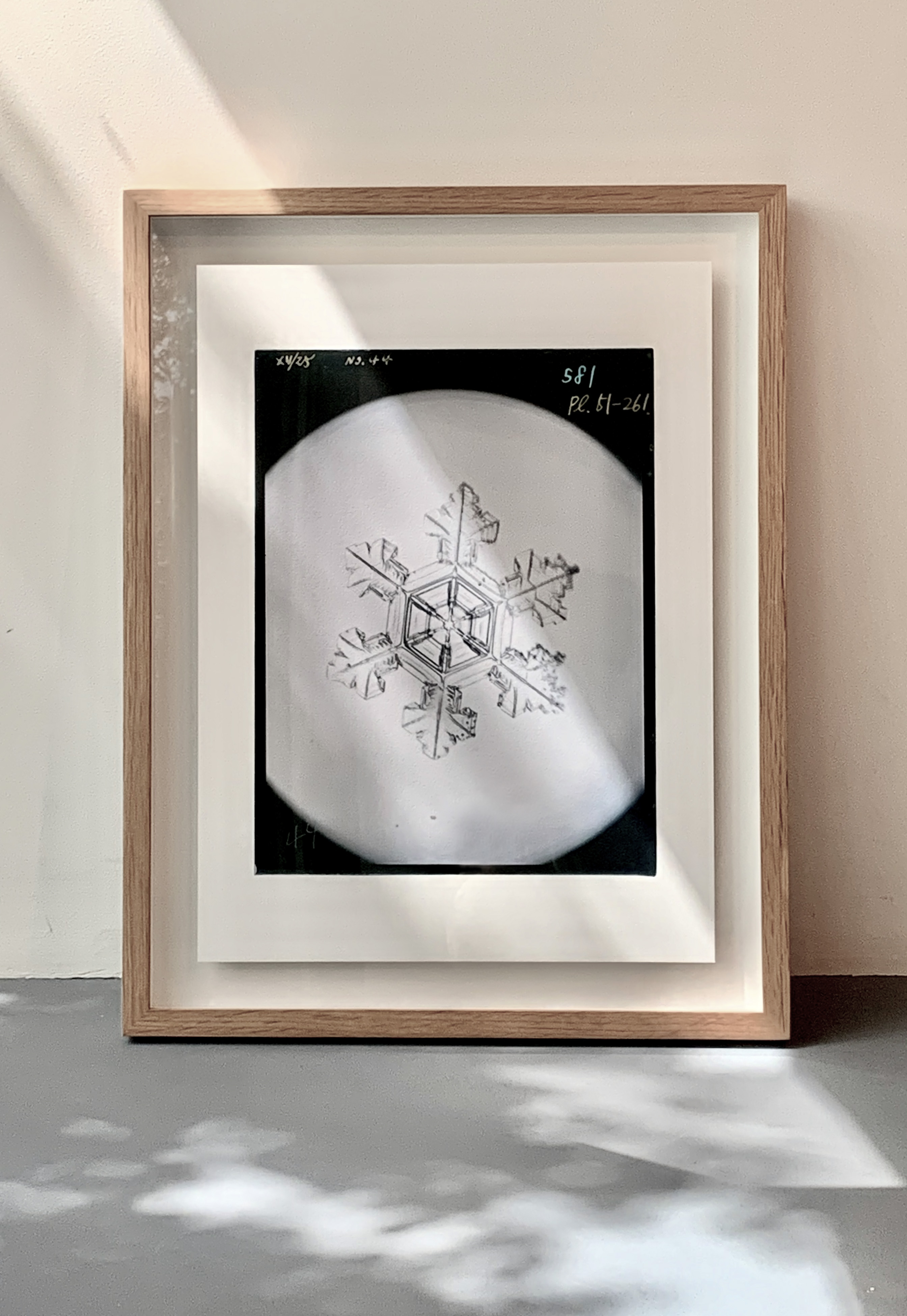 企画展『よみがえる雪の結晶展』
